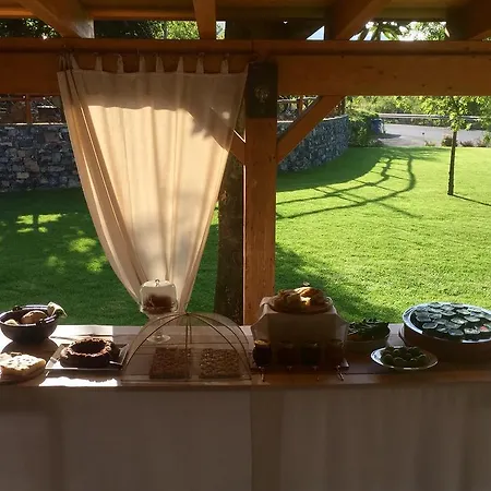 Scola Zuccarello